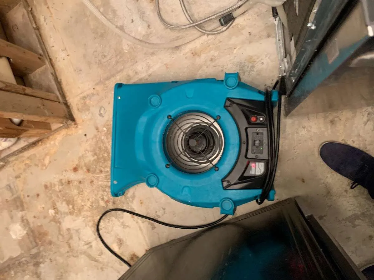 Air mover drying equipment for Mold Remediation & Removal in Isanti